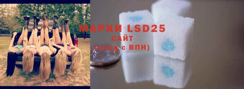 продажа наркотиков  Ялуторовск  LSD-25 экстази ecstasy 